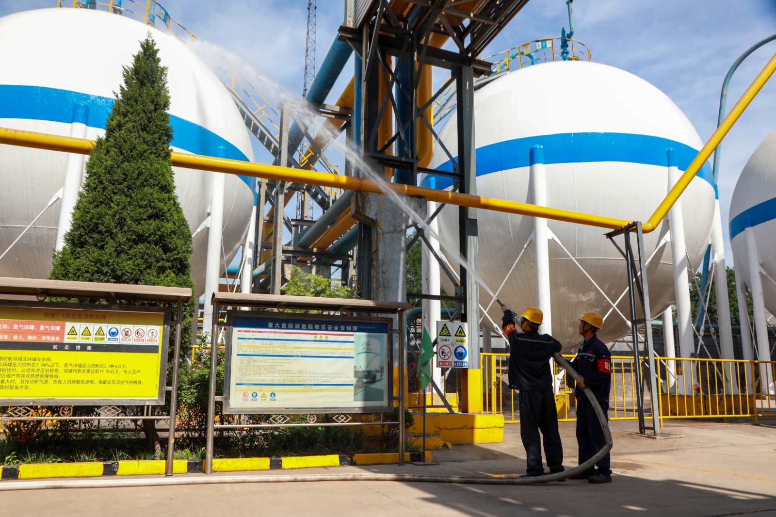 1750325799849577J8Hb.jpg 5Y0A2608網站.jpg